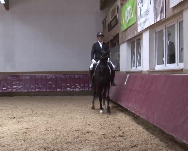 Reitturnier Eicherloh RH Laurent/Obb. 2023
