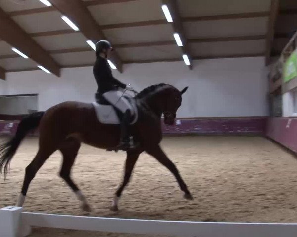 Reitturnier Eicherloh RH Laurent/Obb. 2023