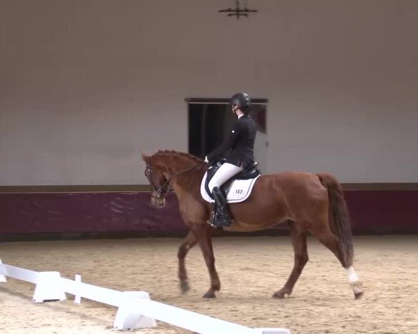 Reitturnier Eicherloh RH Laurent/Obb. 2023