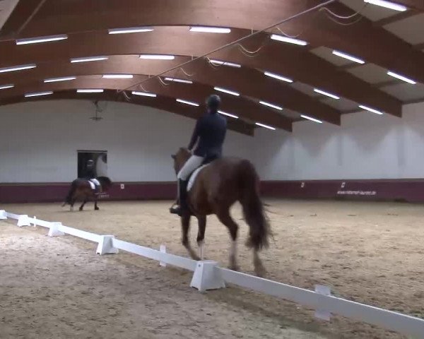 Reitturnier Eicherloh RH Laurent/Obb. 2023