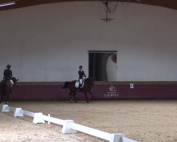 Reitturnier Eicherloh RH Laurent/Obb. 2023