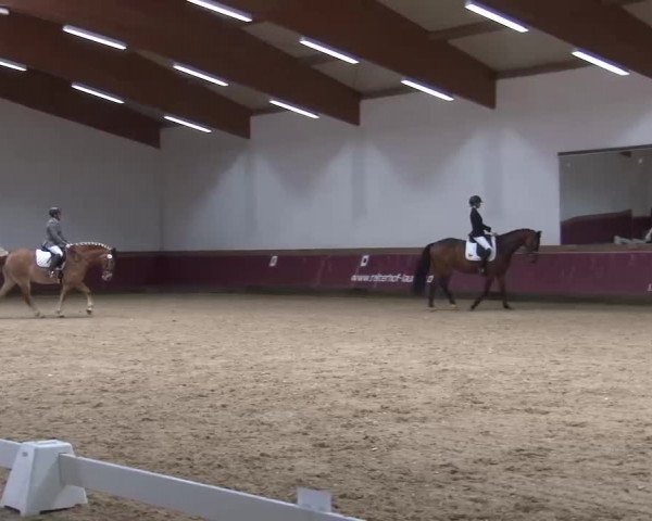 Reitturnier Eicherloh RH Laurent/Obb. 2023