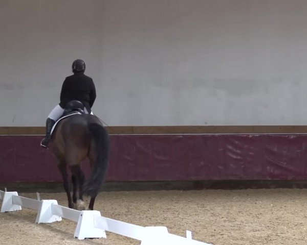 Reitturnier Eicherloh RH Laurent/Obb. 2023