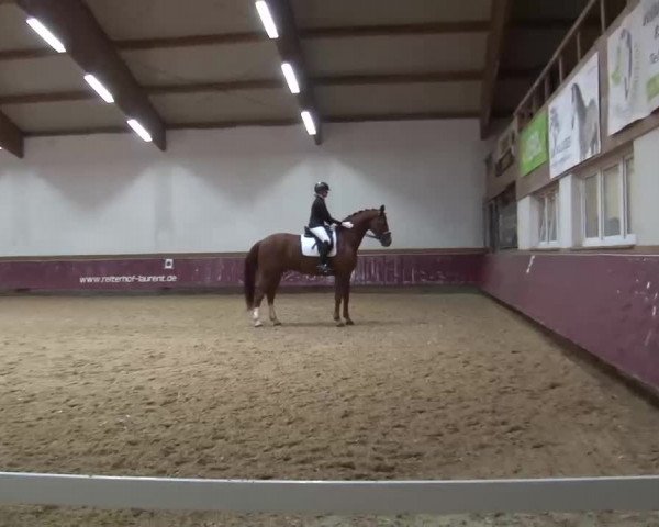 Reitturnier Eicherloh RH Laurent/Obb. 2023