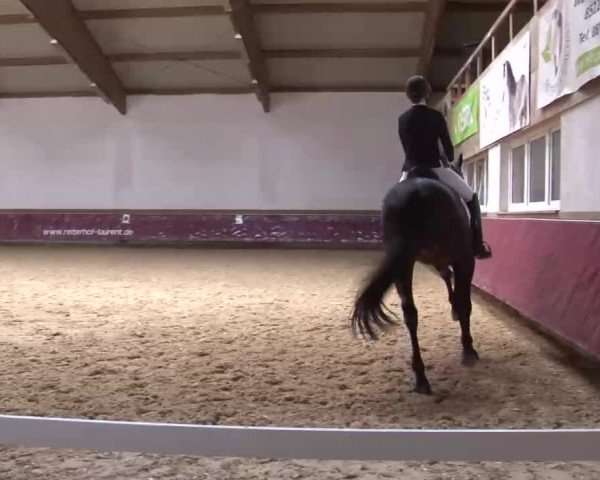 Reitturnier Eicherloh RH Laurent/Obb. 2023