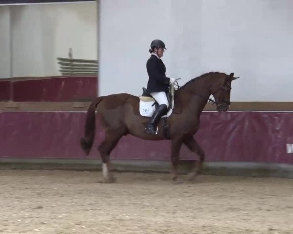 Reitturnier Eicherloh RH Laurent/Obb. 2023