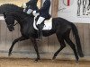 dressage horse Destana Noire (German Sport Horse, 2017, from Destano)