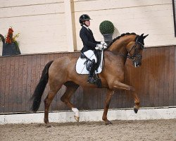 dressage horse Vitalisa PS (Oldenburg, 2018, from Vitalis)