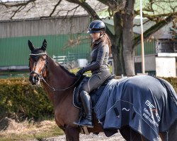 dressage horse Go Go Balia (KWPN (Royal Dutch Sporthorse), 2011, from Aqiedo)