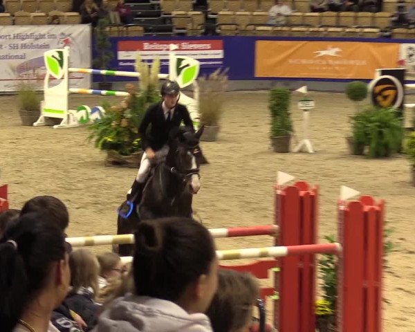 FEI Reitturnier Neumünster (GER) 2021