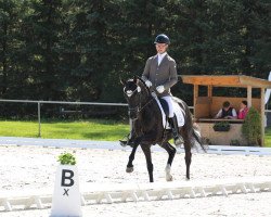 dressage horse Flambeau's Diamond (Oldenburg, 2018, from Flambeau)