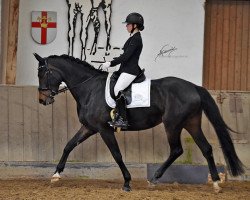 dressage horse Rosalie 298 (Hanoverian, 2017, from Bmc Roman Nature)