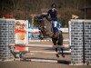 jumper Ninjo 28 (German Riding Pony, 2003, from Nanduc)