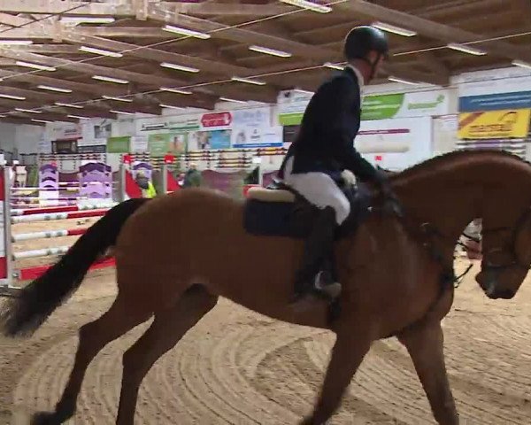 Reitturnier Eicherloh RH Laurent/Obb. 2023