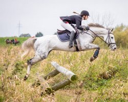 broodmare Bluebell 5 (Hanoverian, 2012, from Bonaparte N AA)