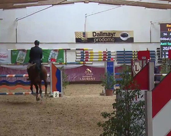 Reitturnier Eicherloh RH Laurent/Obb. 2023