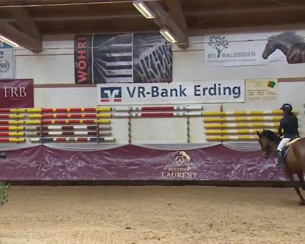 Reitturnier Eicherloh RH Laurent/Obb. 2023