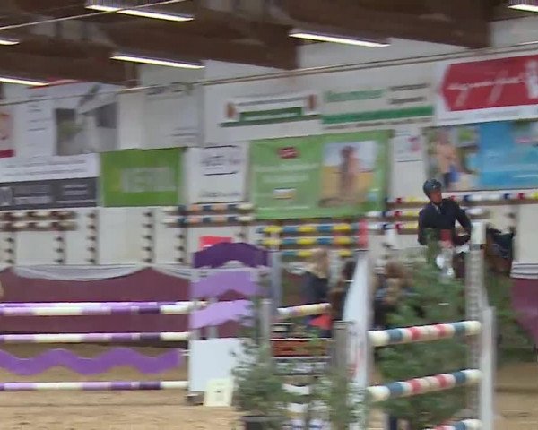 Reitturnier Eicherloh RH Laurent/Obb. 2023