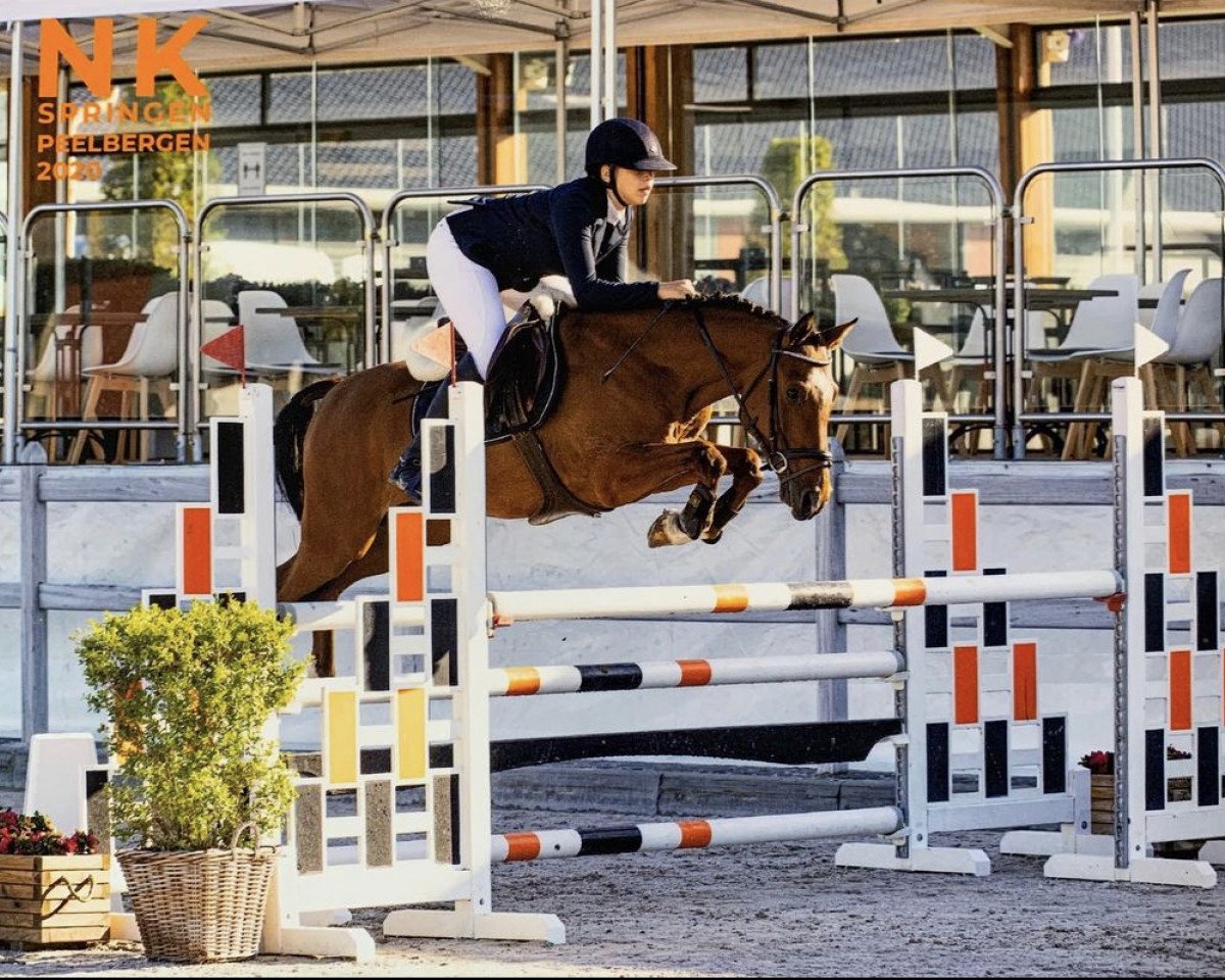 jumper Keano van Orchid's (Nederlands Rijpaarden en Pony, 2014, from Kanshebber)
