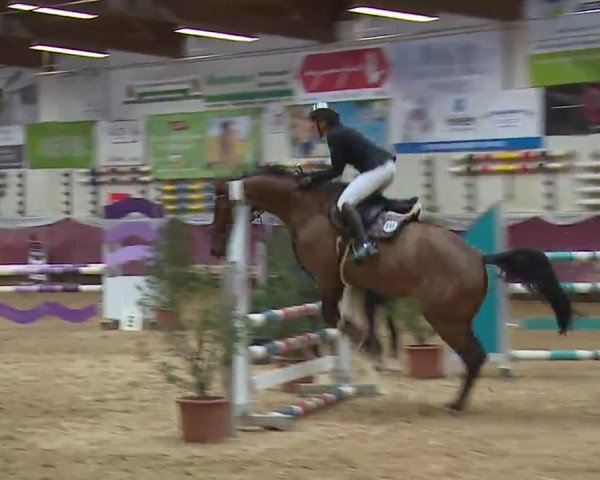 Reitturnier Eicherloh RH Laurent/Obb. 2023