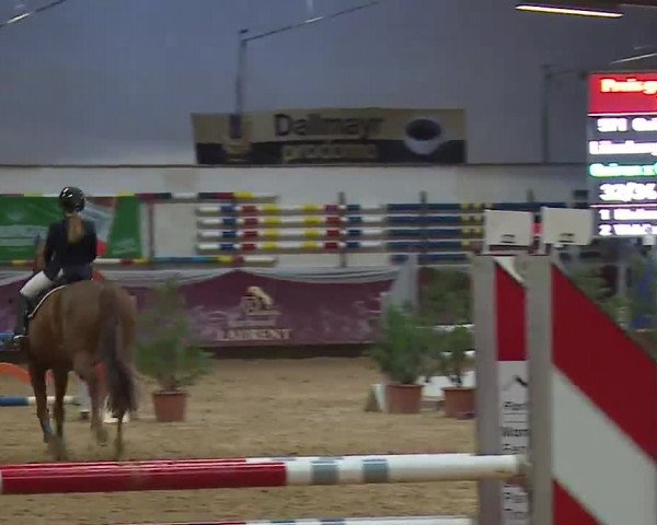 Reitturnier Eicherloh RH Laurent/Obb. 2023
