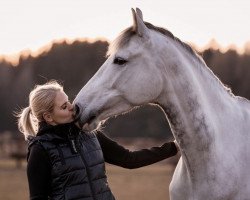 dressage horse Claire Belle (Hanoverian, 2015, from Cascalido)