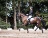 dressage horse Einfach Elise (German Sport Horse, 2015, from Hochmeister)