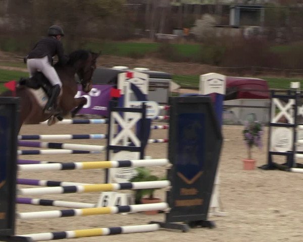 Reitturnier Zwickau 2023
