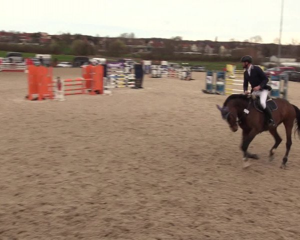 Reitturnier Zwickau 2023