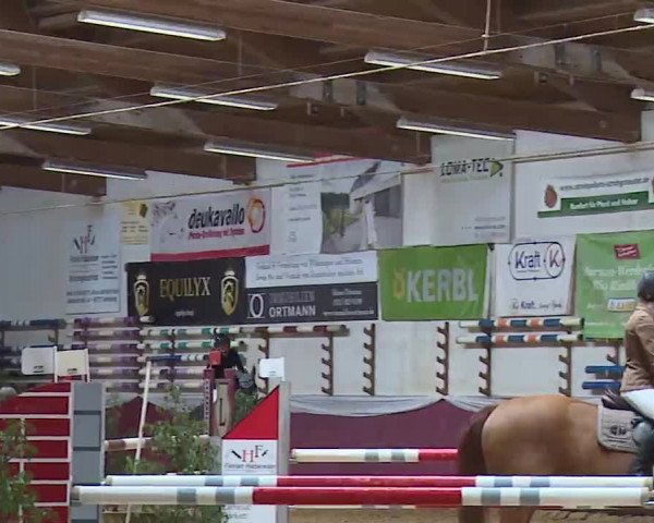 Reitturnier Eicherloh RH Laurent/Obb. 2023