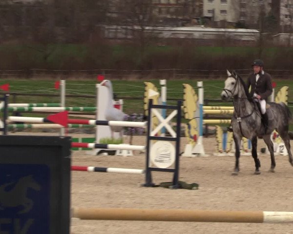 Reitturnier Zwickau 2023