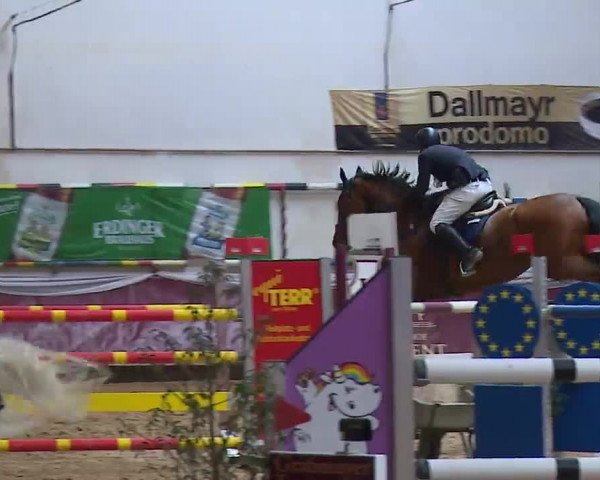 Reitturnier Eicherloh RH Laurent/Obb. 2023