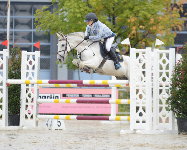 jumper My Sid (Irish Sport Horse, 2008)