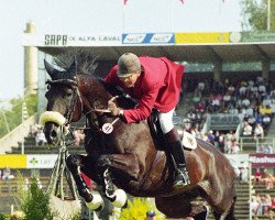 broodmare Seerose (Hanoverian, 1993, from Star Regent xx)