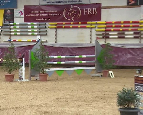 Reitturnier Eicherloh RH Laurent/Obb. 2023