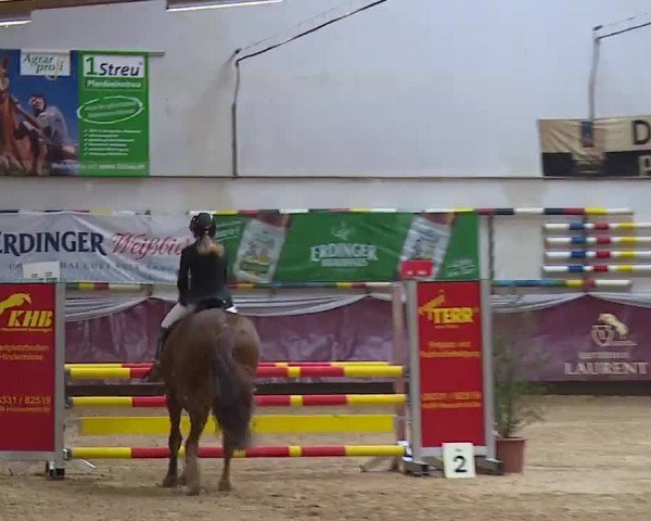 Reitturnier Eicherloh RH Laurent/Obb. 2023