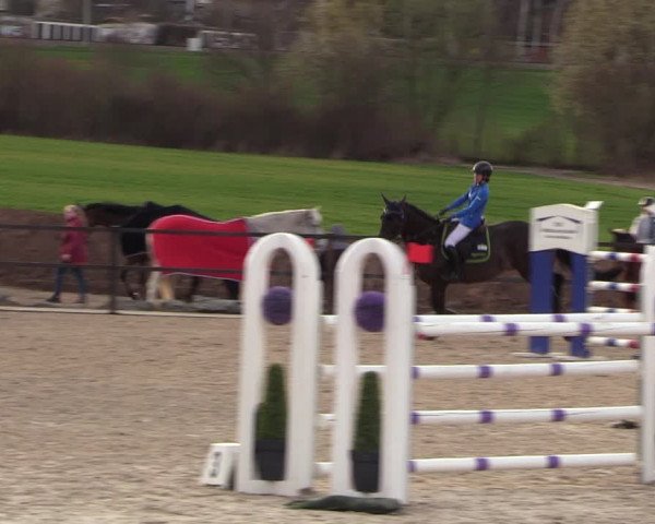 Reitturnier Zwickau 2023