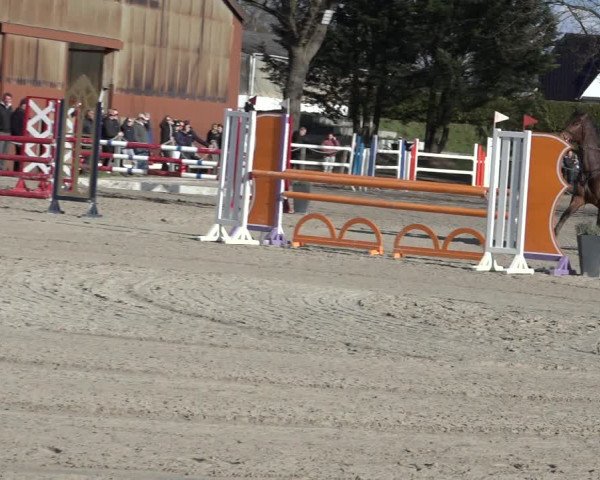 Reitturnier Handorf 2023