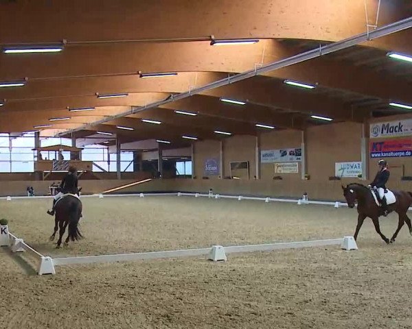 Reitturnier Grafenrheinfeld/Ufr. 2021