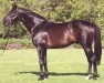 stallion Quest For Fame xx (Thoroughbred, 1987, from Rainbow Quest xx)