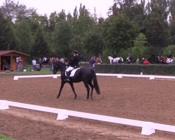 Reitturnier Westeregeln 2021