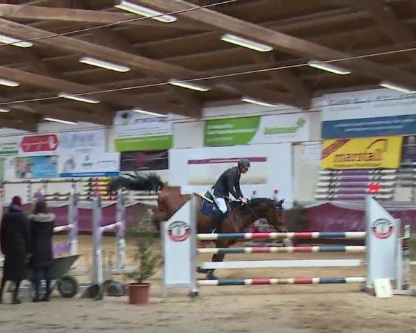 Reitturnier Eicherloh RH Laurent/Obb. 2023