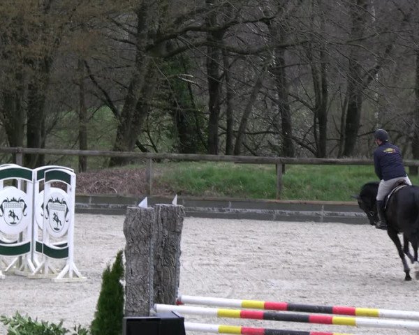 Reitturnier Erkrath 2023