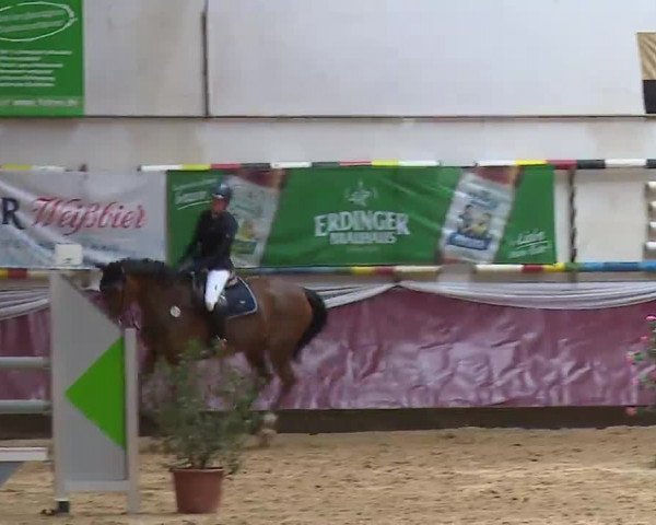 Reitturnier Eicherloh RH Laurent/Obb. 2023