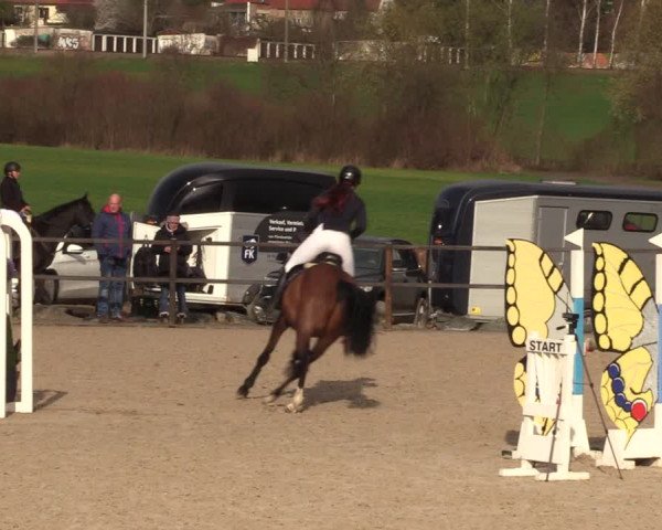 Reitturnier Zwickau 2023