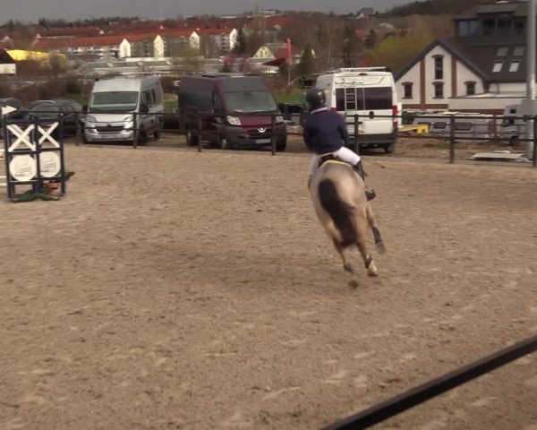 Reitturnier Zwickau 2023