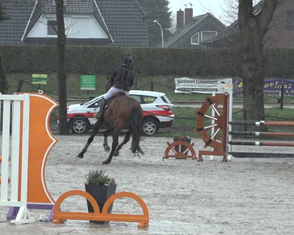 Reitturnier Handorf 2023