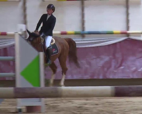 Reitturnier Eicherloh RH Laurent/Obb. 2023