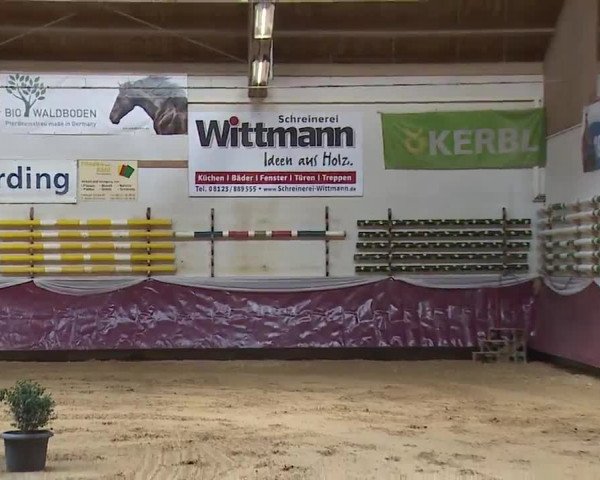 Reitturnier Eicherloh RH Laurent/Obb. 2023