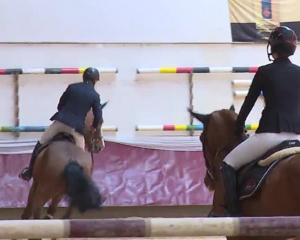 Reitturnier Eicherloh RH Laurent/Obb. 2023